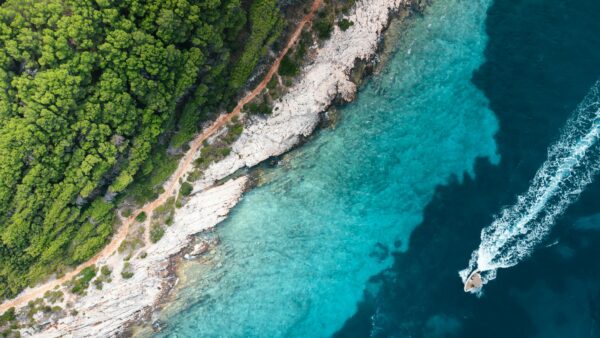Aerial view of a boat on the water